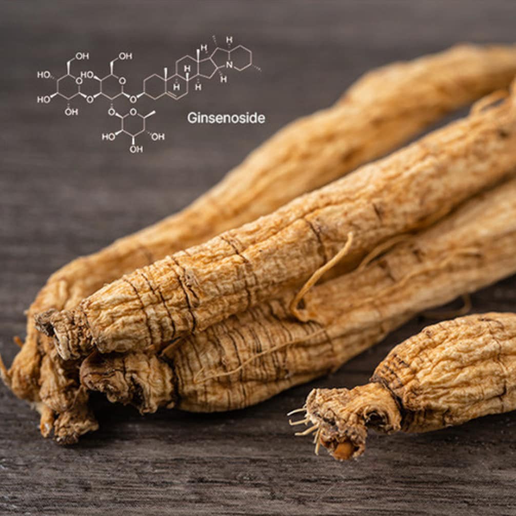 Nature Garden — 6-Year Korean Red Ginseng Extract Vitality Sticks (10 g x 100 sticks) - Image 5