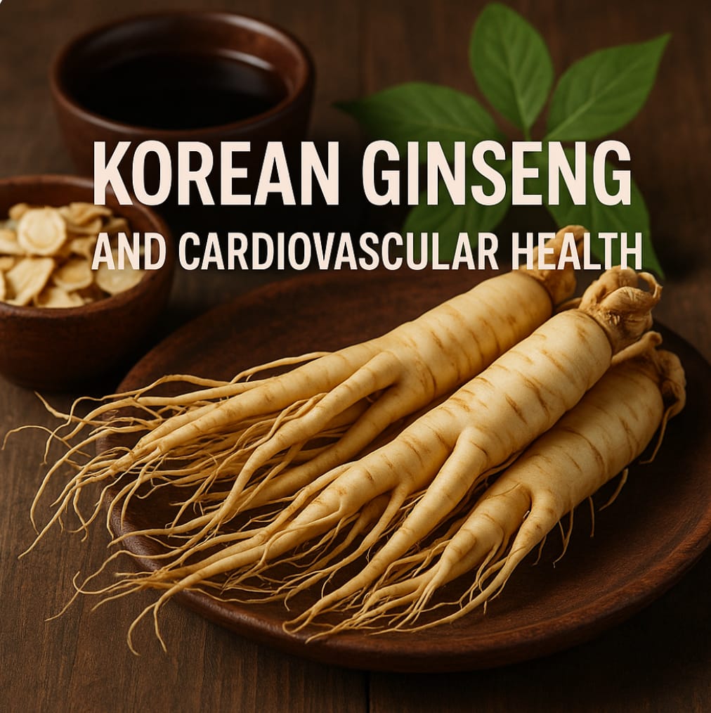 Korean ginseng roots supporting cardiovascular wellness naturally