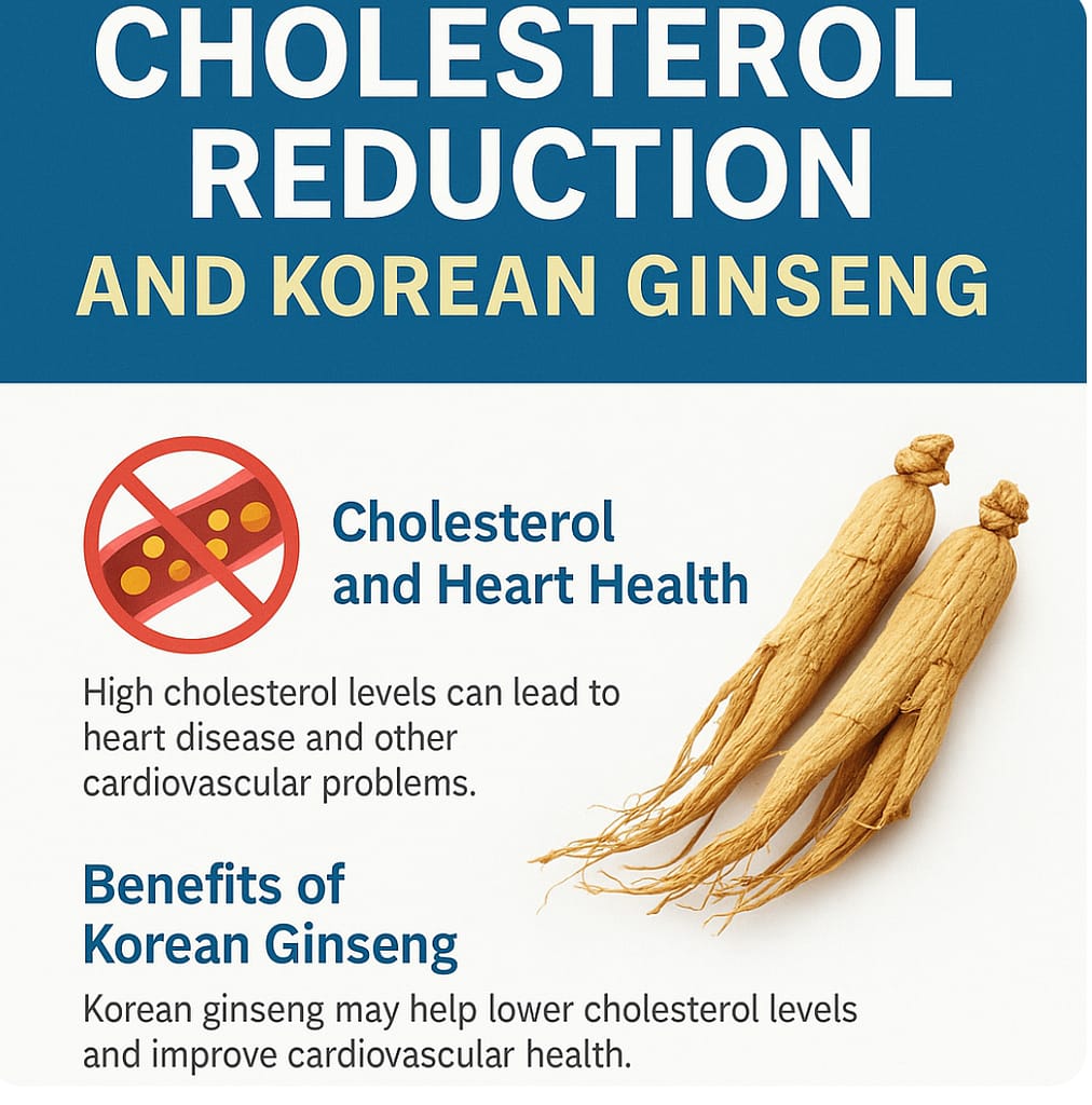 Infographic showing cholesterol reduction and benefits of Korean ginseng