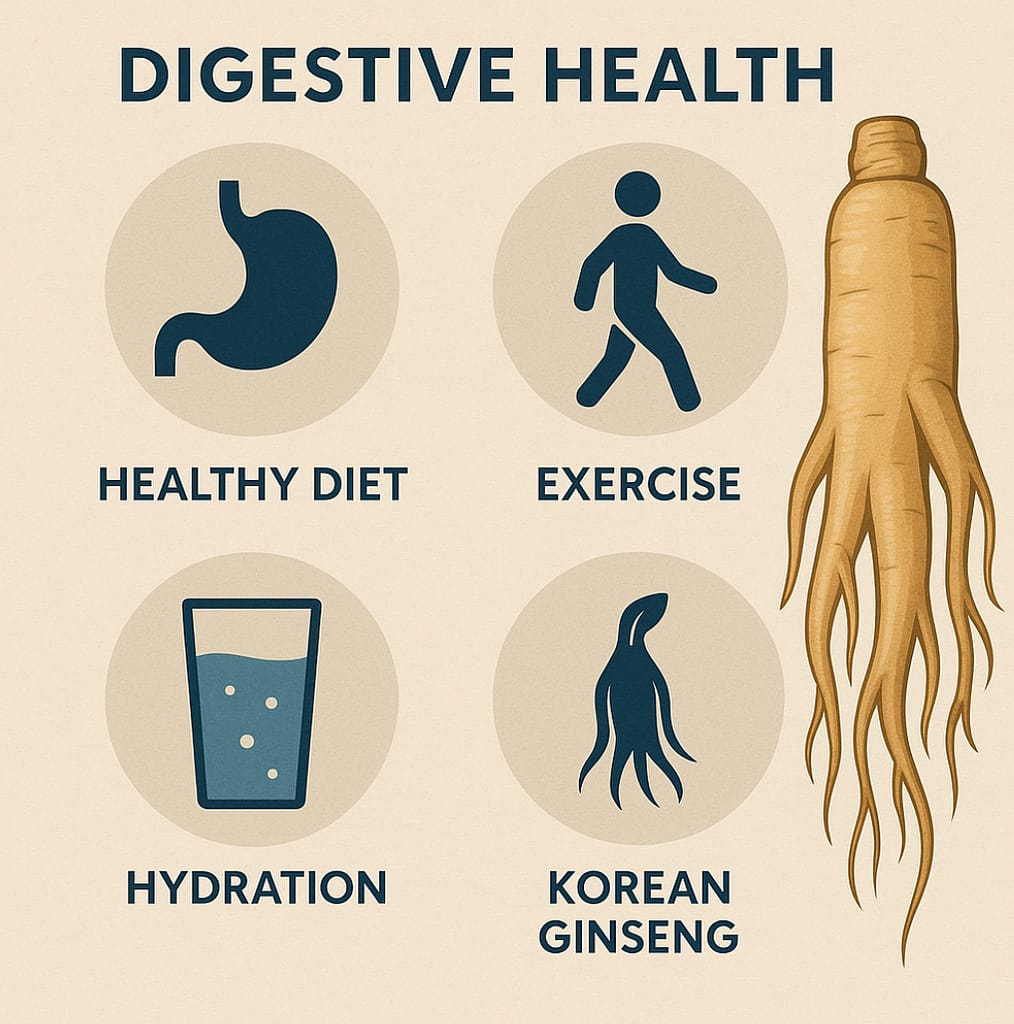 Digestive health infographic featuring healthy diet, hydration, exercise, and Korean ginseng