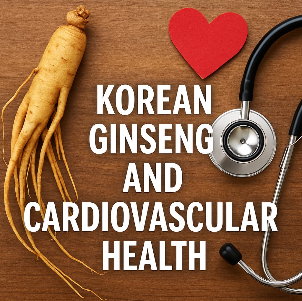 Korean ginseng root with stethoscope and heart symbolizing cardiovascular health benefits