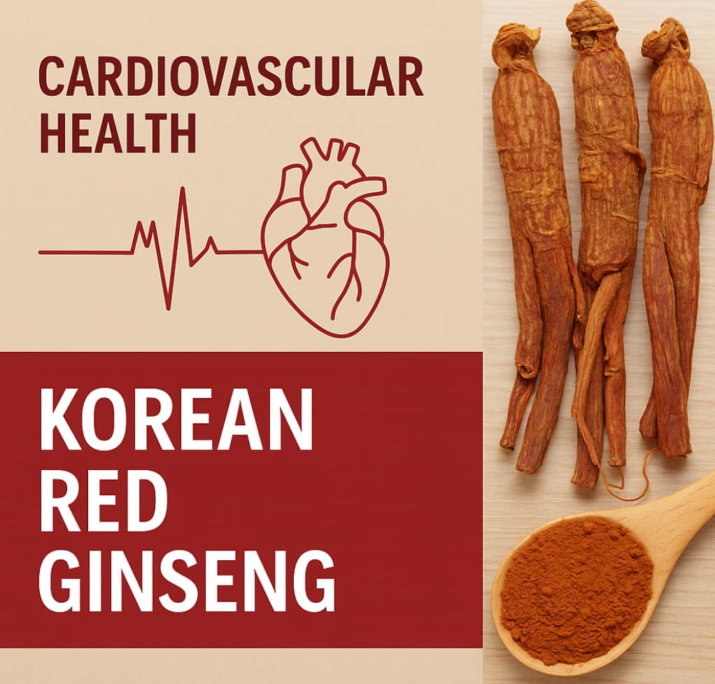 Korean red ginseng roots and powder symbolizing cardiovascular wellness
