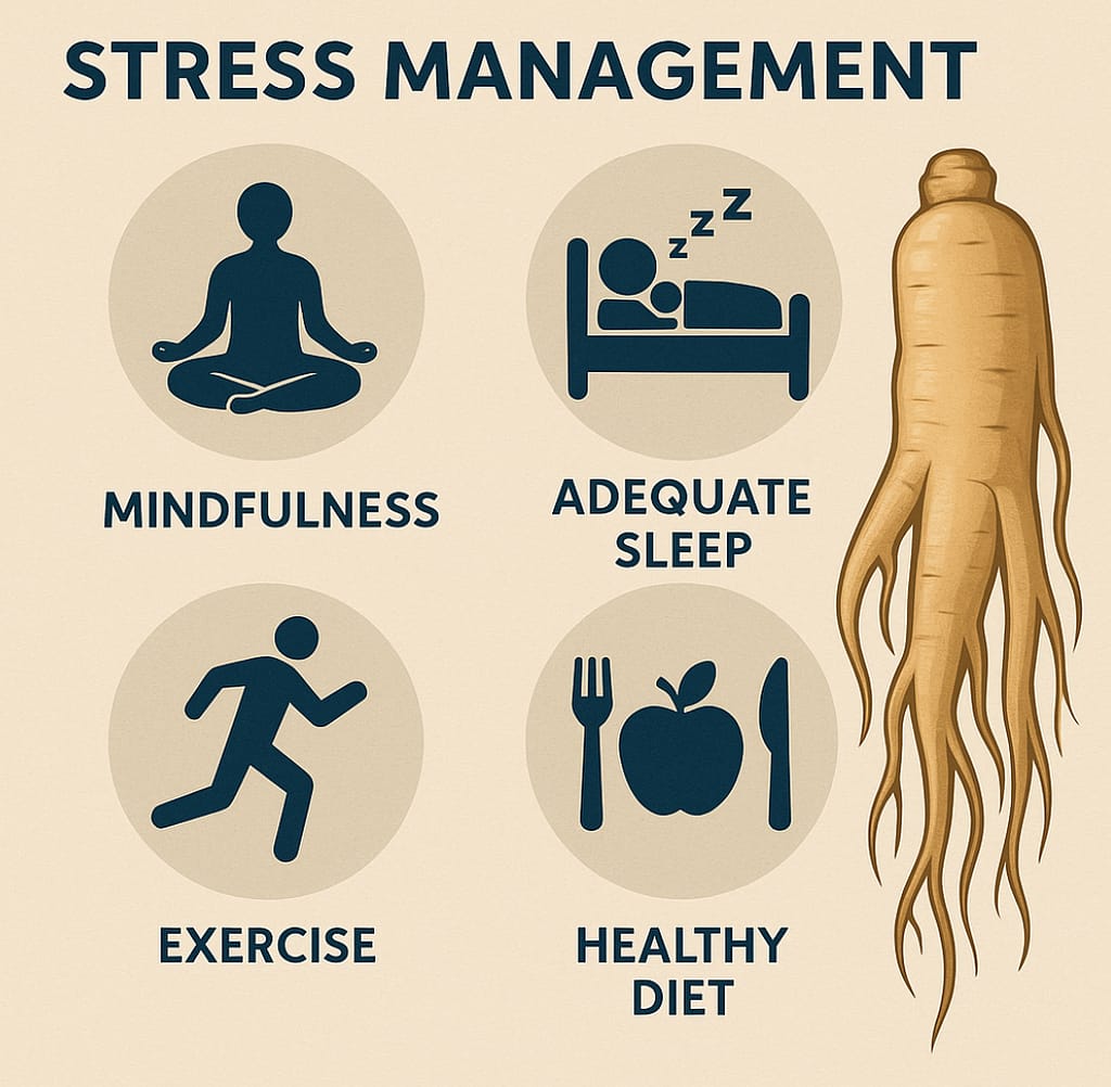 Stress management techniques with mindfulness, sleep, exercise, healthy diet, and Korean ginseng illustration