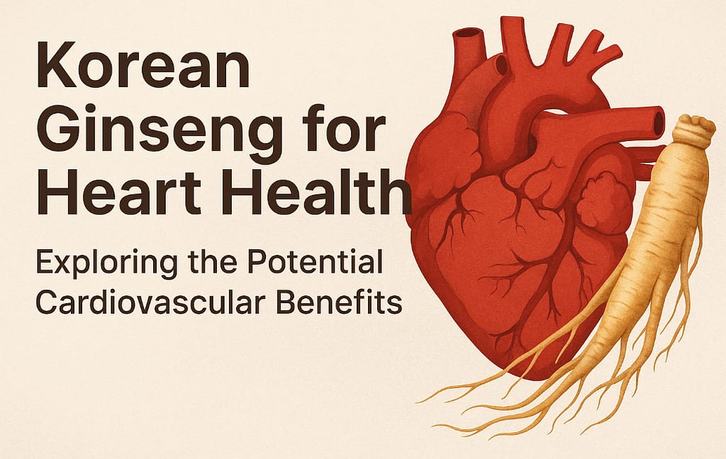 Korean ginseng root with human heart illustration showing cardiovascular benefits
