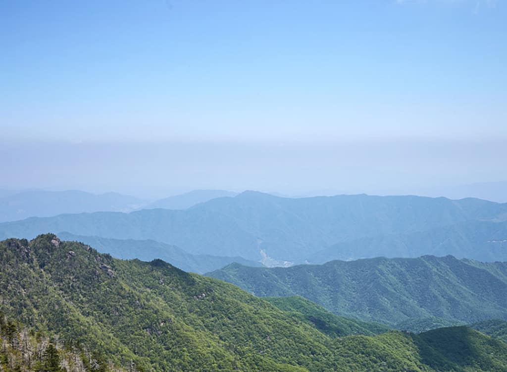 korean-ginseng-powerful-healing-herb-ginsenosides Korean ginseng, nature’s powerful healing herb, renowned for its long history and 4–6 years of cultivation, rich in ginsenosides for immunity, energy, and wellness
