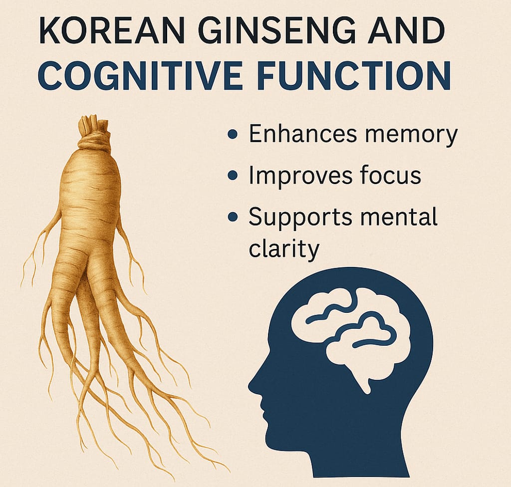 Korean ginseng root with human brain illustration showing cognitive benefits