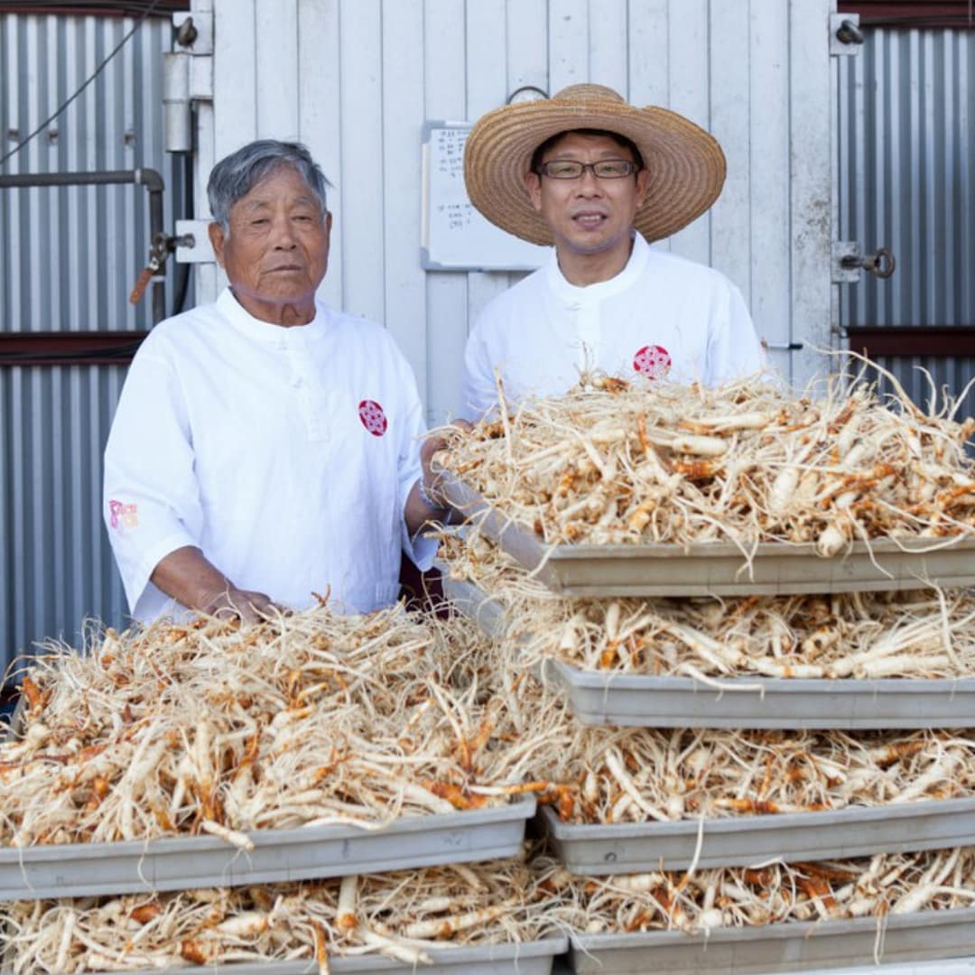 GinsengLife — Pure Korean Red Ginseng Extract (80 ml x 30 pouches) - Image 5