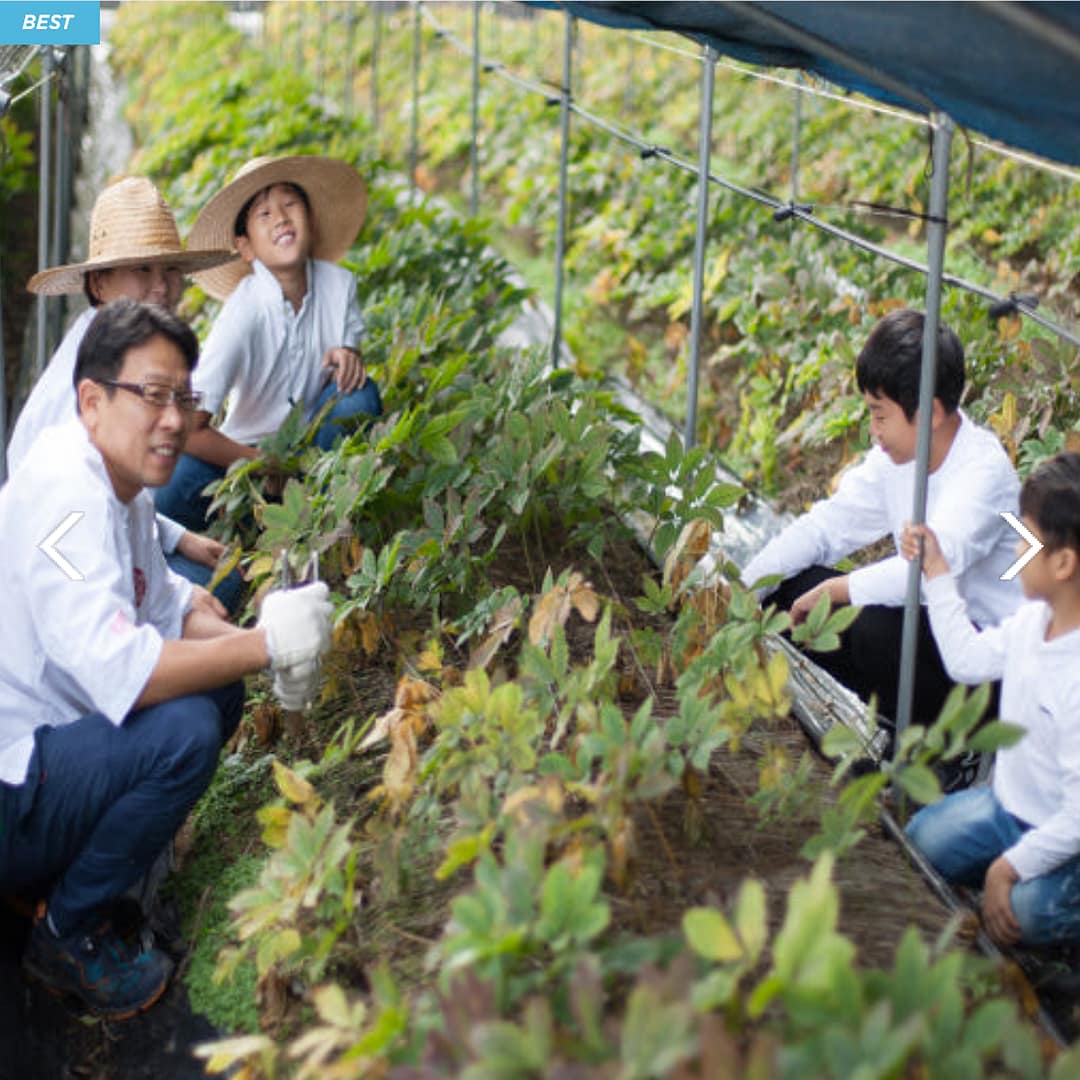 GinsengLife — Pure Korean Red Ginseng Extract (80 ml x 30 pouches) - Image 12