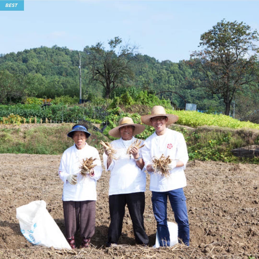 GinsengLife — Pure Korean Red Ginseng Extract (80 ml x 30 pouches) - Image 11