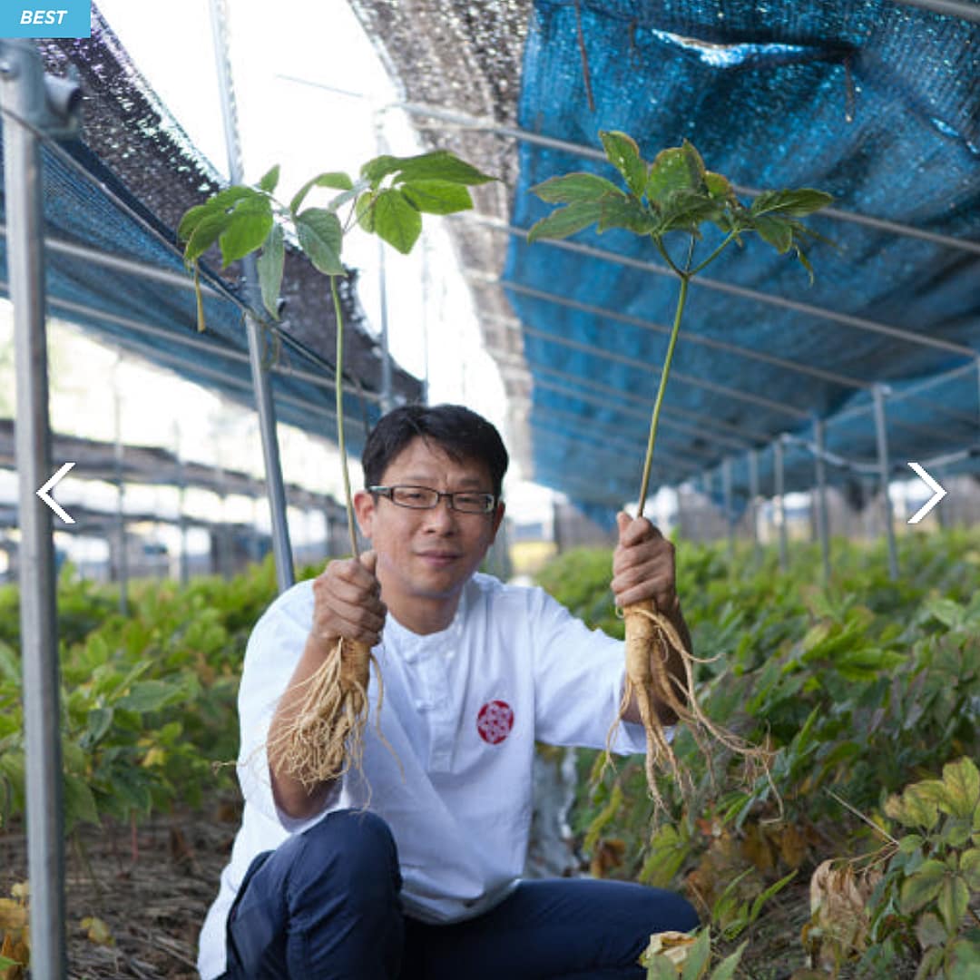 GinsengLife — Pure Korean Red Ginseng Extract (80 ml x 30 pouches) - Image 8