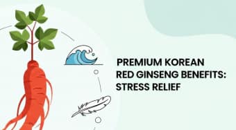 Ginseng benefits for stress relief