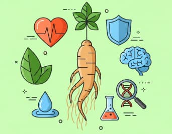 ginseng as a natural antioxidant