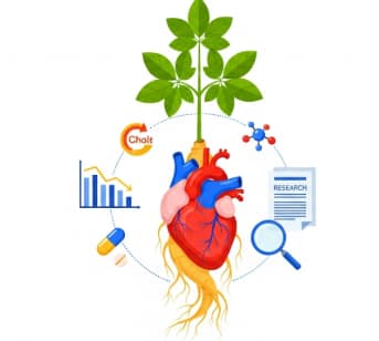 Ginseng for cholesterol natural supplement benefits