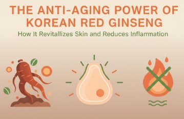 Korean Red Ginseng roots and skincare elements symbolizing anti-aging and skin rejuvenation