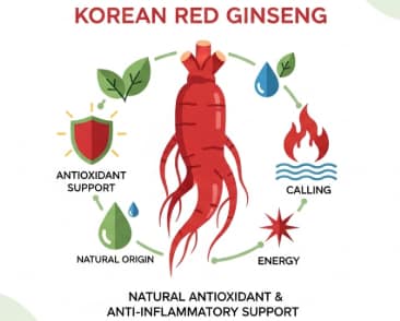 Korean red ginseng roots showing their antioxidant and anti-inflammatory wellness potential