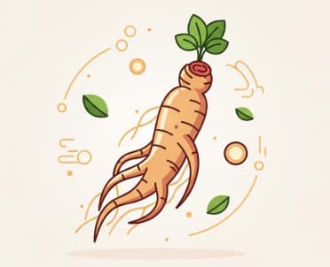 Korean ginseng supporting healthy vitality during aging