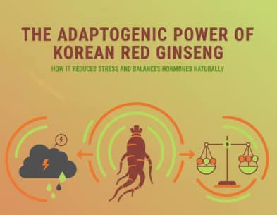 Korean Red Ginseng root symbolizing stress relief and hormonal balance