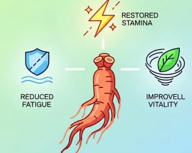 Korean Red Ginseng root and energy icon symbolizing natural fatigue recovery
