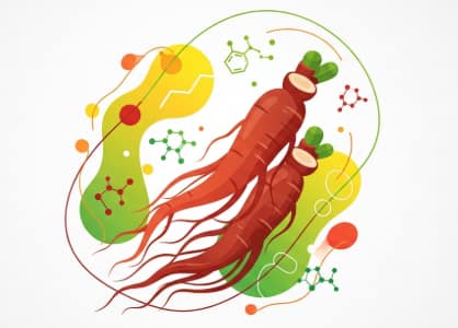 Ginseng for increasing energy levels