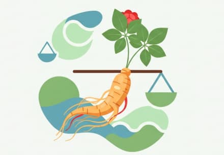 Korean ginseng root supporting healthy insulin response