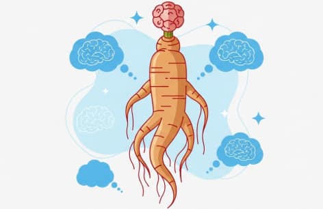 Korean ginseng supporting mental focus and concentration naturally