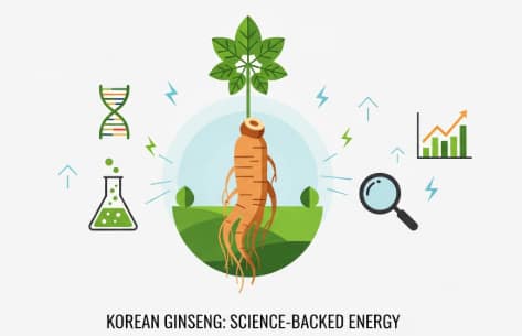 herbal approach to reducing daily fatigue with Korean ginseng