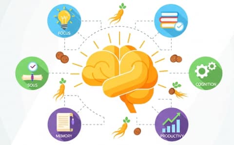 Ginseng benefits for mental clarity and focus