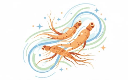 Korean ginseng root supporting healthy blood circulation