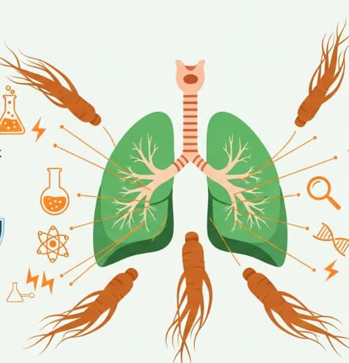 Korean Red Ginseng roots beside healthy lungs symbolizing natural respiratory protection