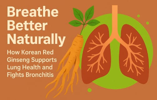 Korean Red Ginseng roots beside lung illustration representing respiratory health and bronchitis relief