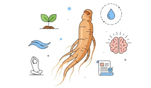 natural stress relief methods with Korean ginseng root