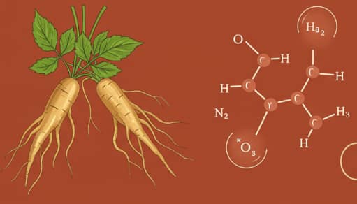 Korean red ginseng roots and tea symbolizing improved insulin sensitivity and balanced metabolism