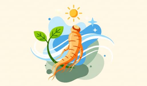 Korean ginseng offering gentle natural burnout support