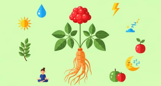 Korean ginseng roots used as natural ways to boost energy