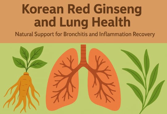 Korean Red Ginseng supporting lung health and bronchitis recovery naturally