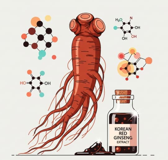 Korean Red Ginseng showing non-saponin maltol derivatives for antioxidant and anti-inflammatory support