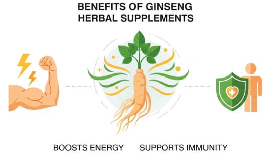enefits of ginseng herbal supplements for energy and immunity