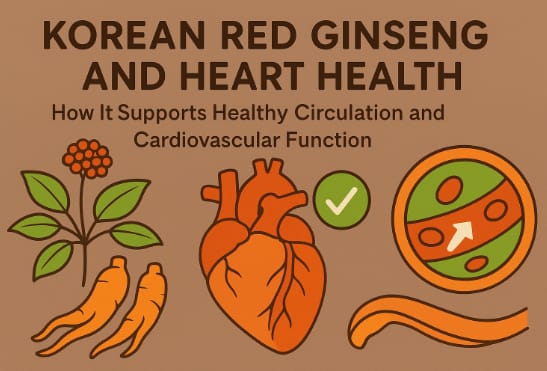 Korean red ginseng roots and heart-shaped herbs symbolizing cardiovascular health benefits
