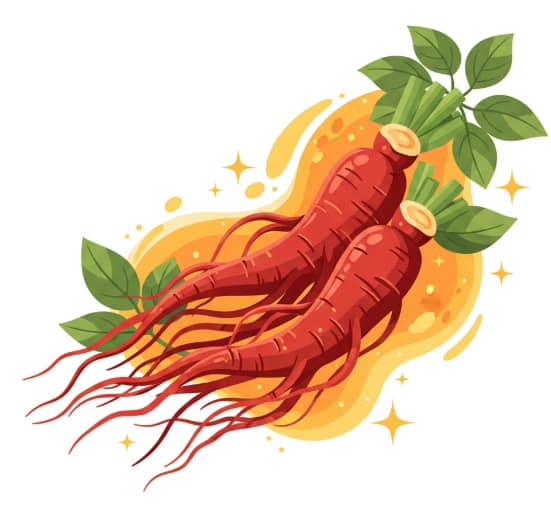 Korean Red Ginseng supporting energy, cognition, and wellness for adults over 50