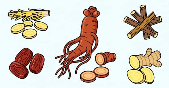 Korean Red Ginseng paired with various herbs for natural wellness support