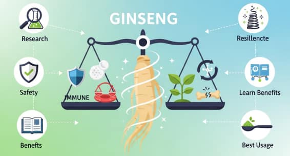 Ginseng for improving immune response