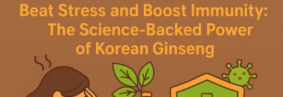 Premium Korean red ginseng roots and herbal tea symbolizing stress relief and immune support