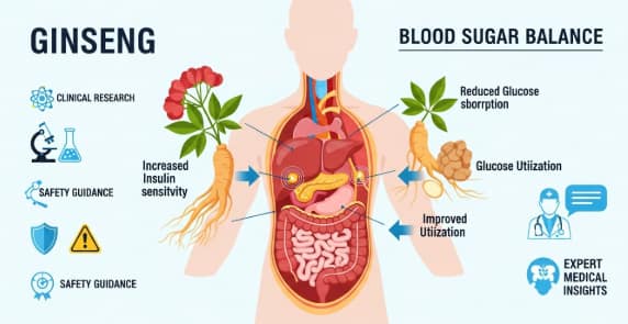 ginseng root supporting healthy glucose regulation