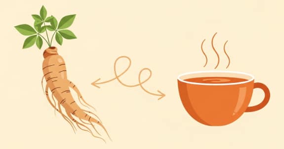 An infographic illustrating the scientific pathway of how ginseng modulates the HPA axis and cortisol levels to reduce feelings of stress and anxiety.
