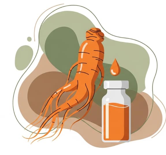 Korean Red Ginseng root and extract representing natural stress relief and hormonal balance