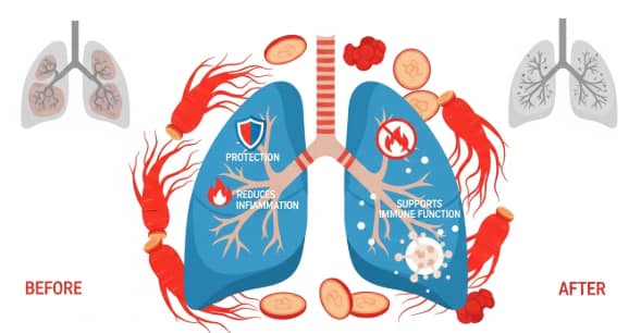 Korean red ginseng for pneumonia and bronchitis recovery