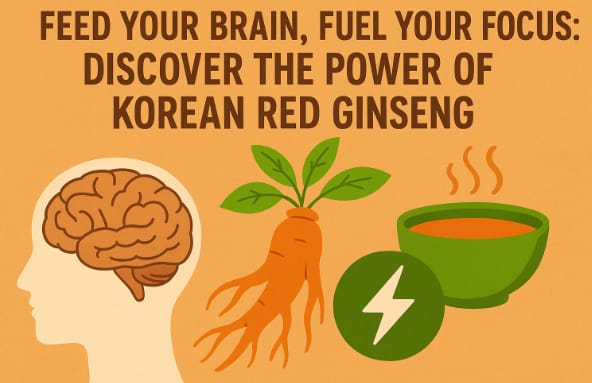 Korean Red Ginseng enhancing focus and brain energy naturally