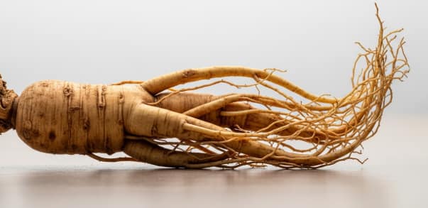 health benefits of ginseng root illustration