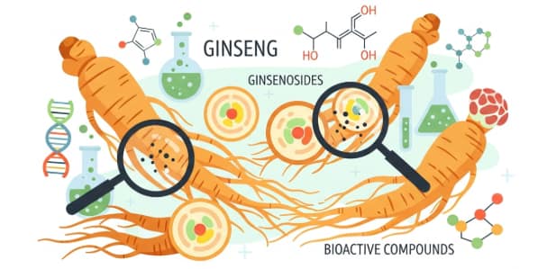 scientific overview of ginseng health benefits for daily wellness