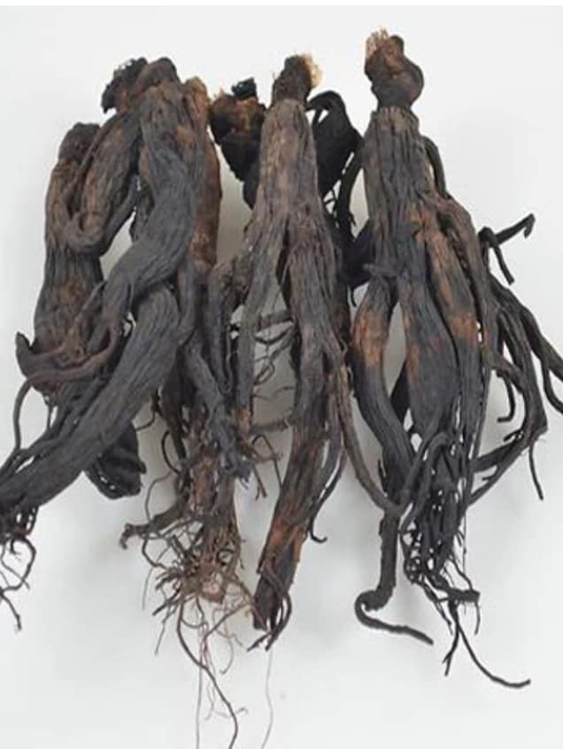 Premium black ginseng roots displayed on a ceramic plate